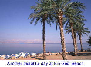Ein Gedi Beach in Israel